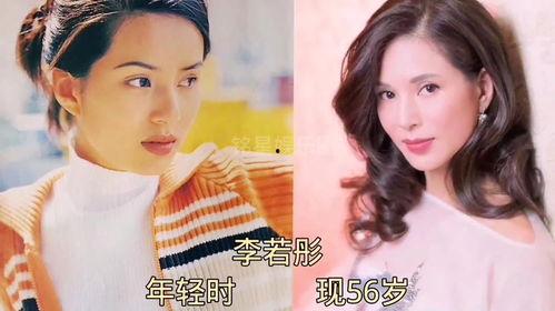 娱乐圈明星爆料册子,揭秘明星背后的秘密与真相  第3张